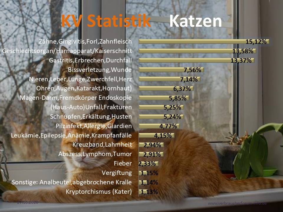 Krankheiten Statistik bei Katzen