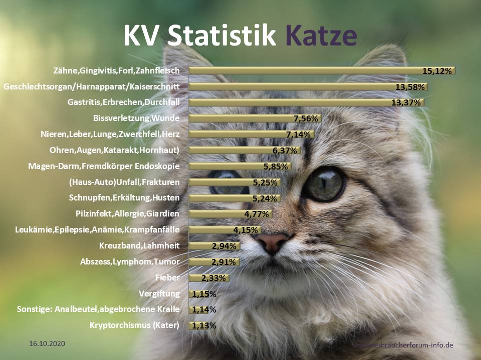 Krankheiten Statistik bei Katzen