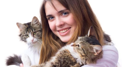 Alternative: Katze zur Pflege aufnehmen