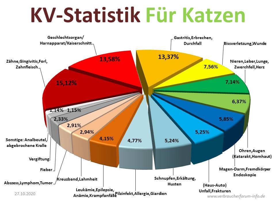 Krankheiten Statistik bei Katzen