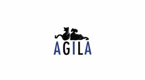 Agila kündigt Verträge zur Katzenversicherung