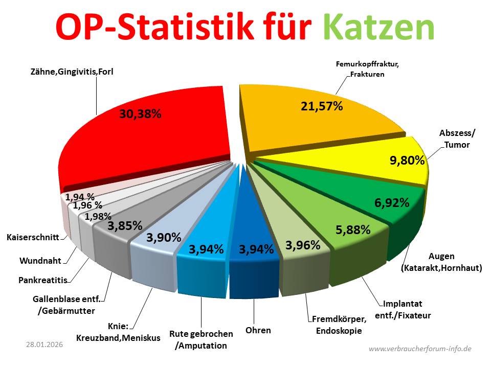 OP-Statistik für Hauskatzen