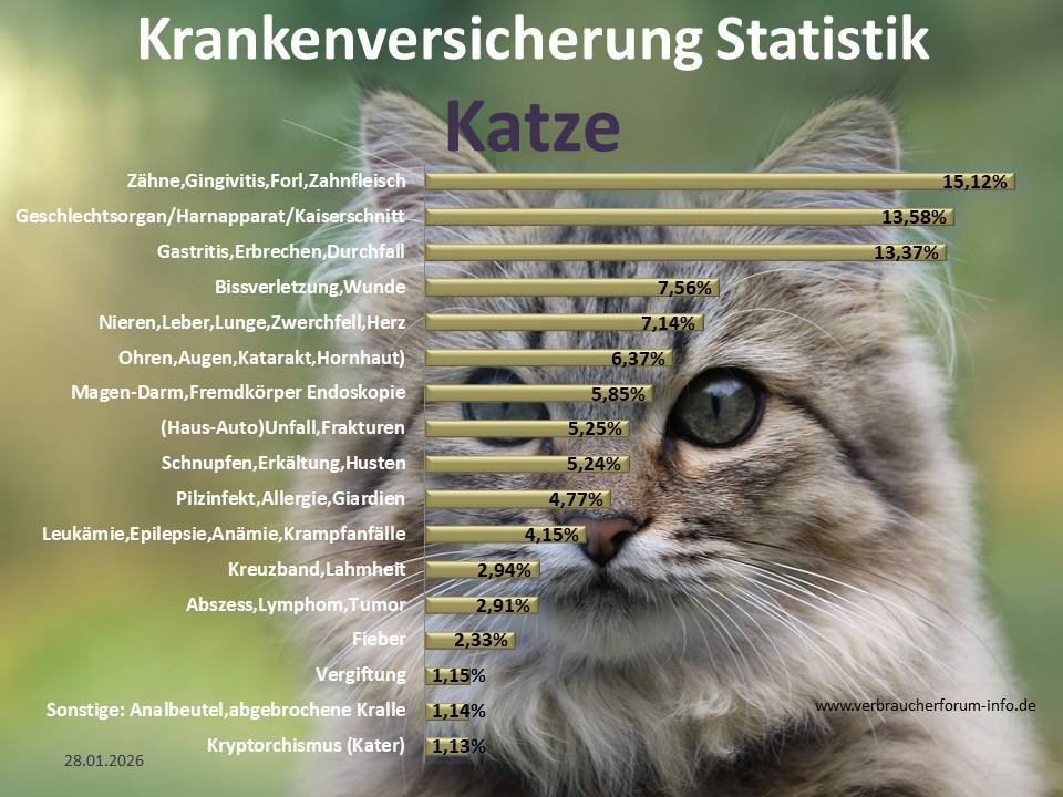 Katzenkrankenversicherung Krankheiten Statistik