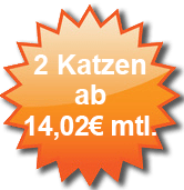 Katzenversicherung Angebot für zwei Katzen