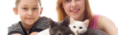 Katzenversicherung mit Kastration