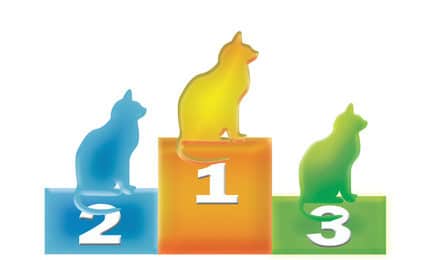 Katzenversicherung Test