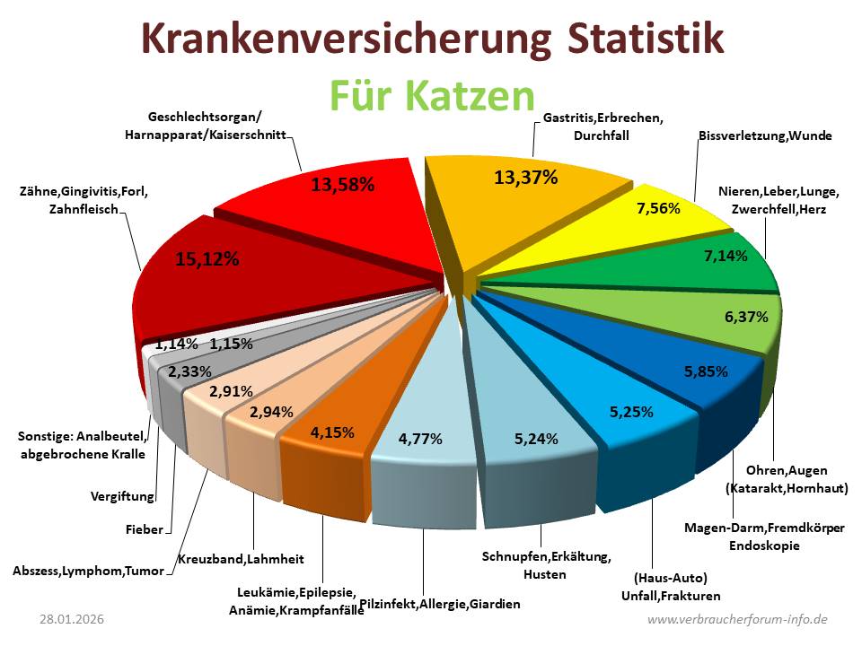 Krankheiten Hauskatze Statistik