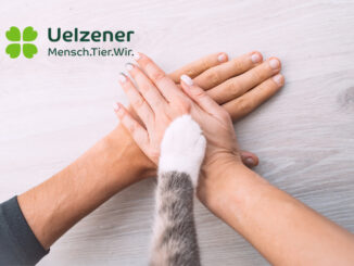 Uelzener Katzenversicherung Test