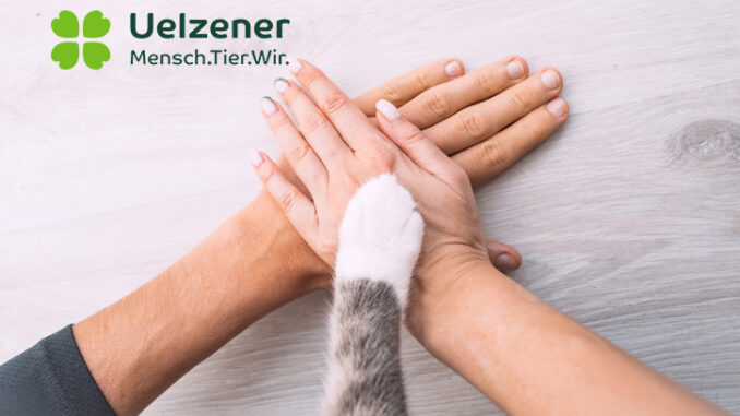 Uelzener Katzenversicherung Test